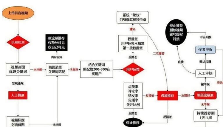 新手輕松快速掌握抖音推薦算法核心技巧-第2張圖片-小七抖音培訓